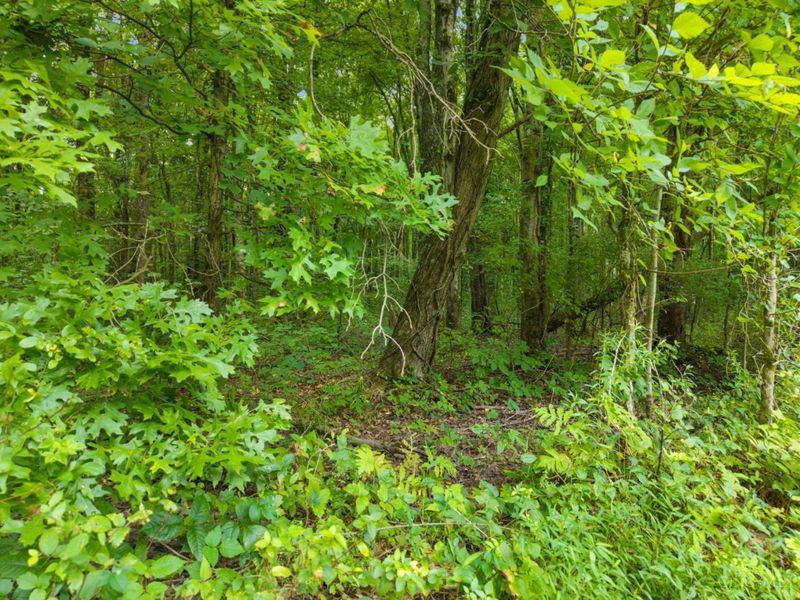 0 Moore Road, Tate Township, OH 45106 Photo 21