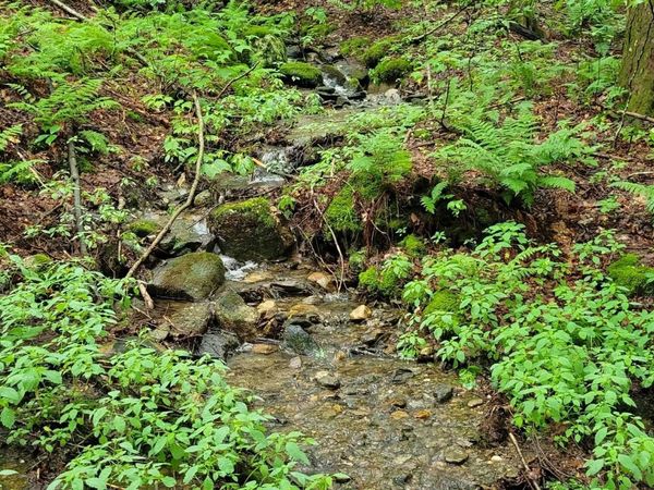 00 Heartwellville View Road, Unit 65 & 66, Readsboro, VT 05350