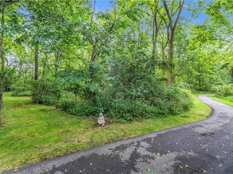 2940 Robert Gary Court, Medina, OH 44256 Photo 48