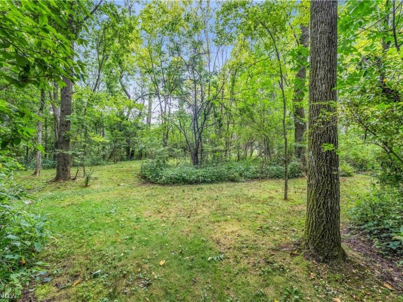 2940 Robert Gary Court, Medina, OH 44256 Photo 50