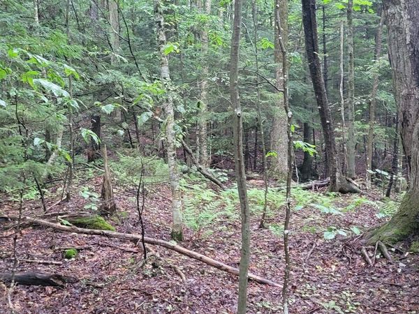 00 Heartwellville View Road, Unit 69, Readsboro, VT 05350