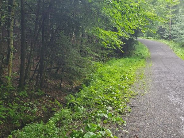 00 Heartwellville View Road, Unit 70, Readsboro, VT 05350