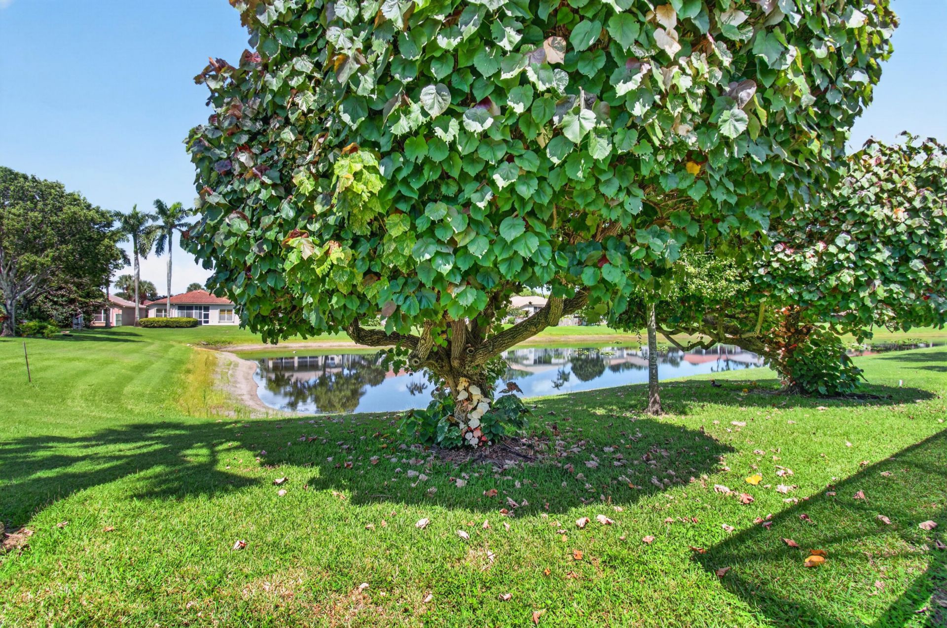 12643 Via Ravenna, Boynton Beach, FL 33436 Photo