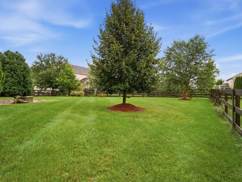 971 Caribou Run Lane, Miami Township, OH 45150 Photo 54