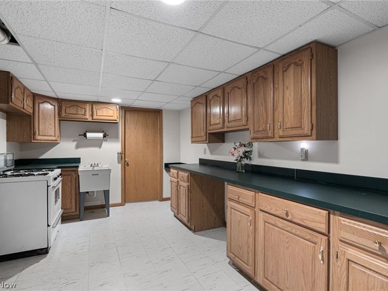 509 William , Lagrange, OH 44050 Photo 31
