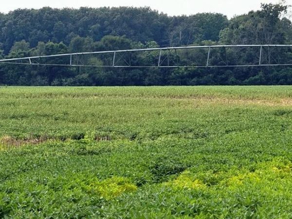 1200 E County Road 1200 E , Grovertown, IN 46531
