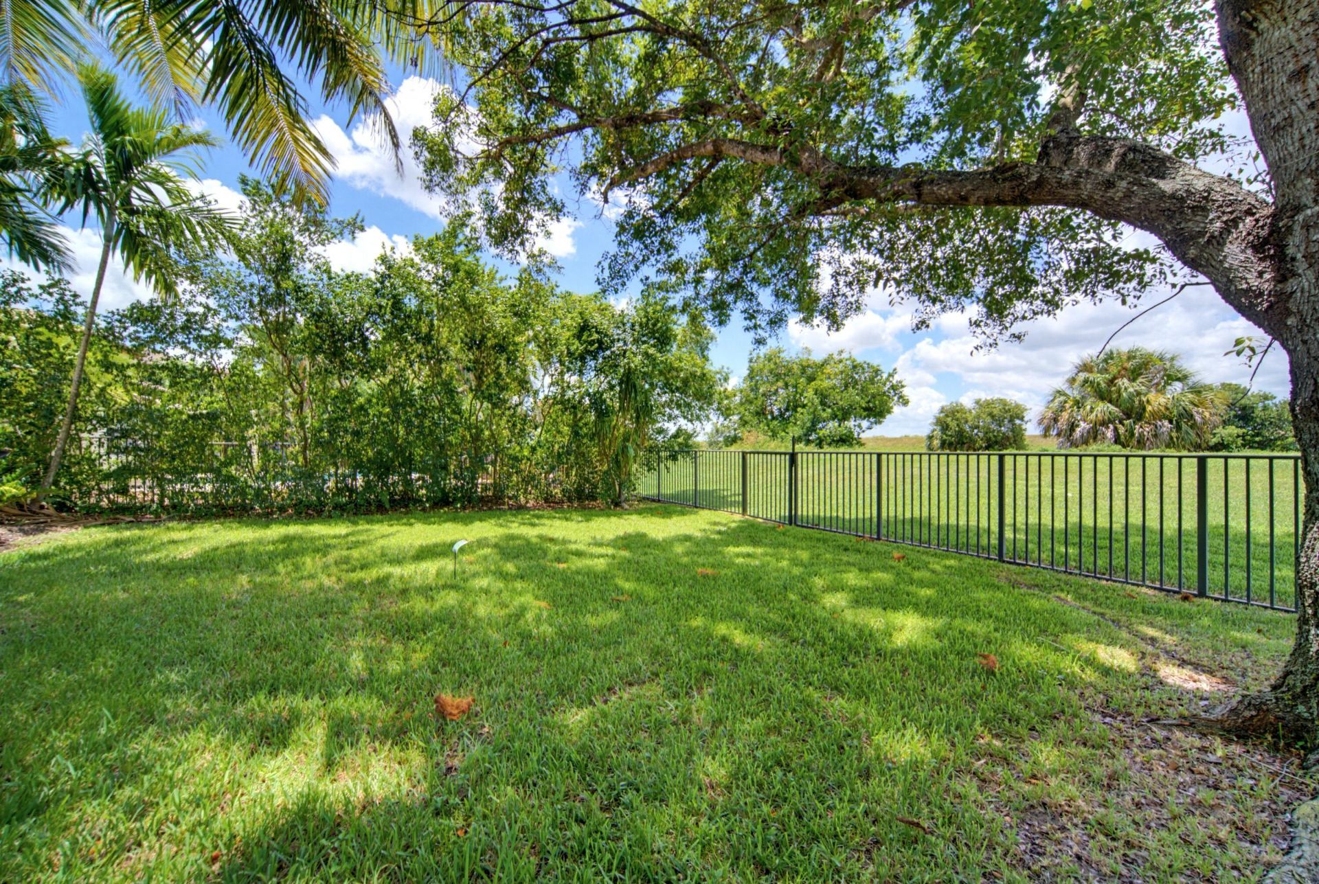 6679 NW 128th Way, Parkland, FL 33076 Photo