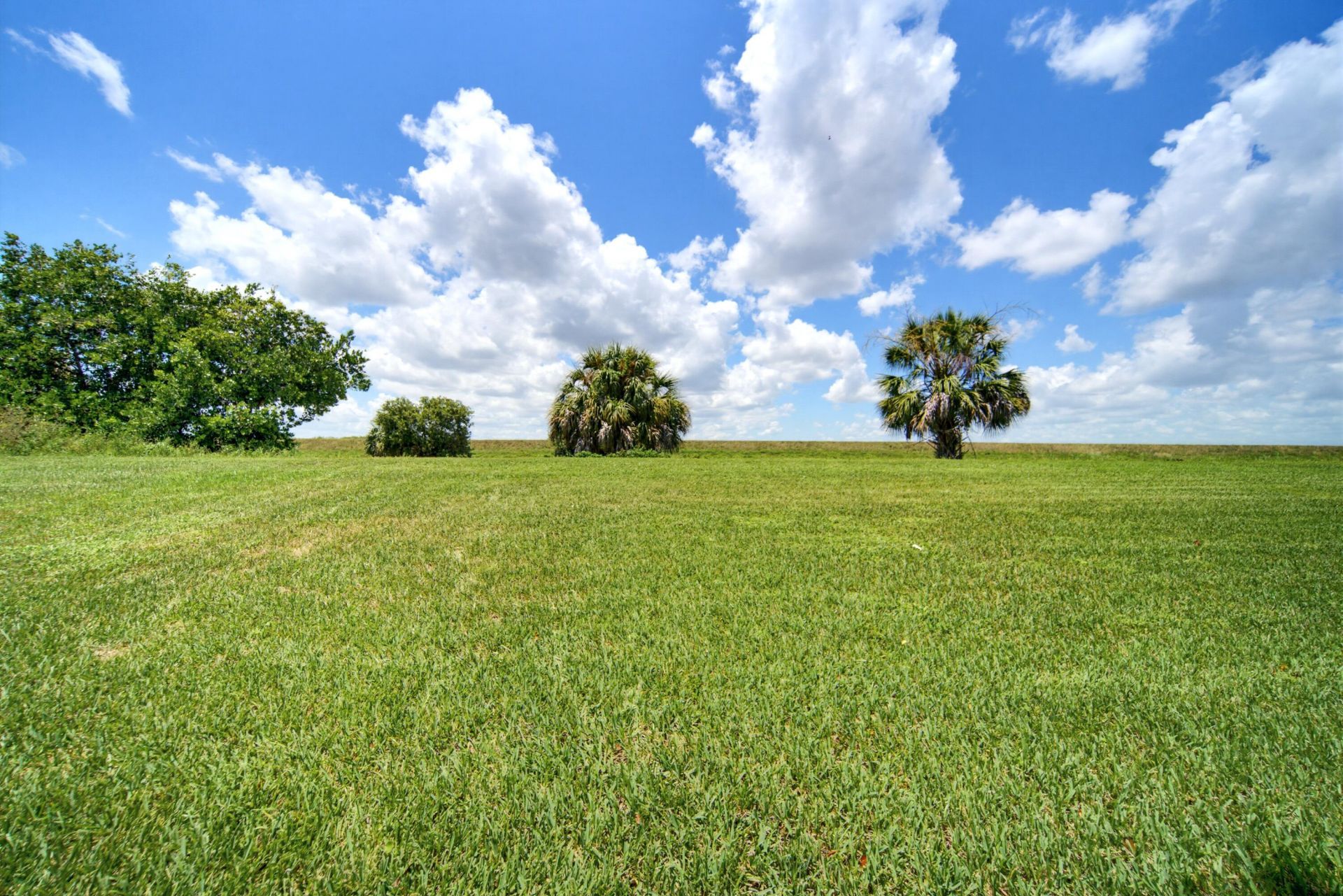 6679 NW 128th Way, Parkland, FL 33076 Photo