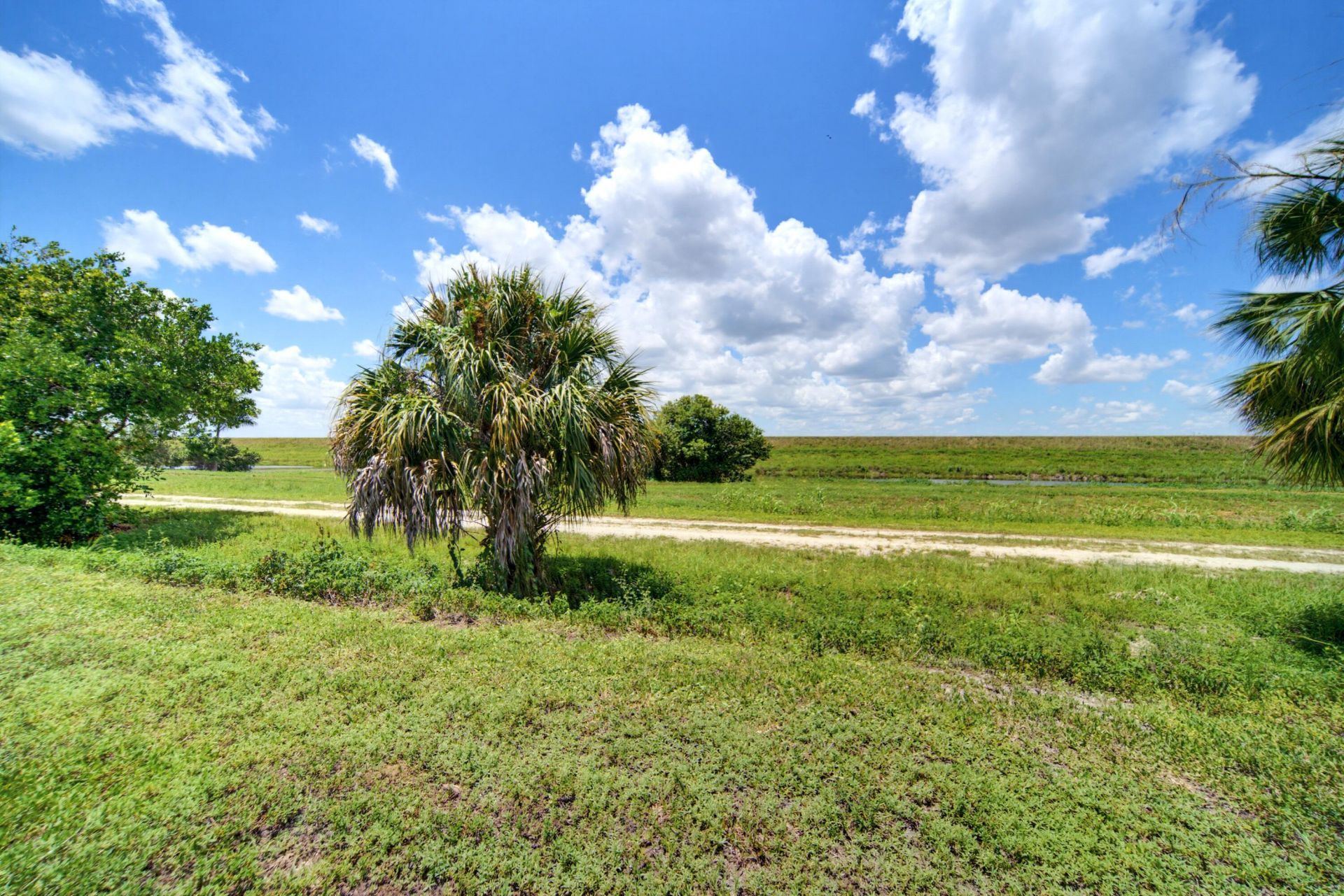 6679 NW 128th Way, Parkland, FL 33076 Photo