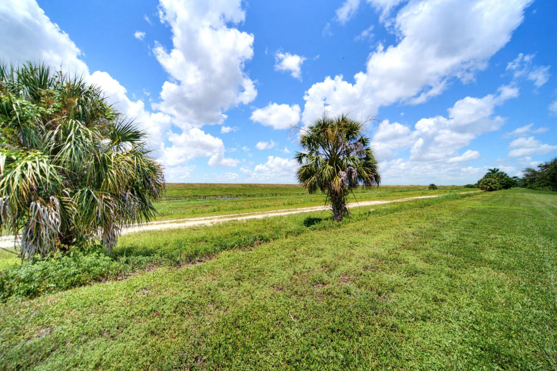 6679 NW 128th Way, Parkland, FL 33076 Photo