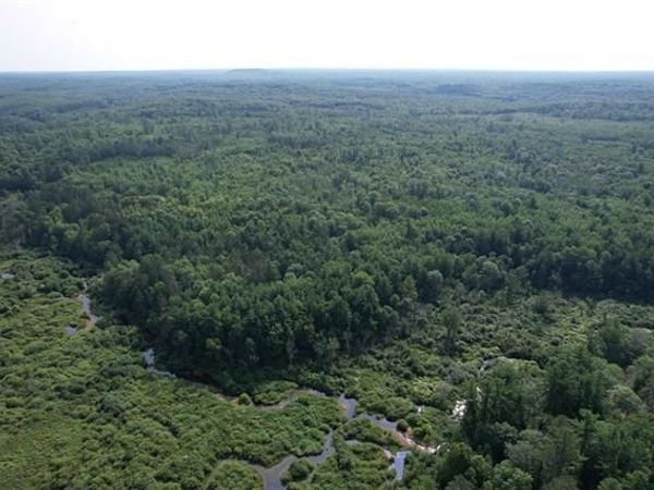 80 Acres Copper Mine Road, Wascott, WI 54838