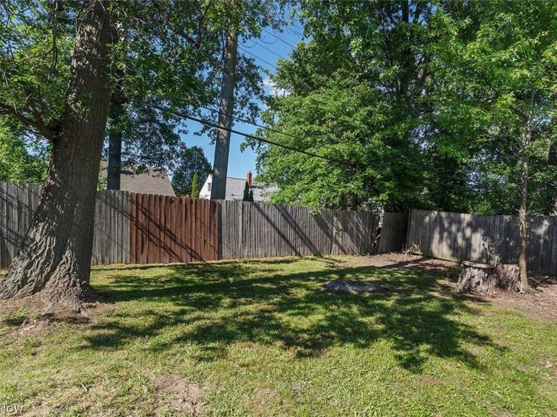 25291 Richards Avenue, Euclid, OH 44132 Photo 30