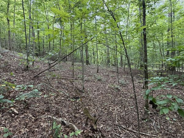 0 Deer Creek Rd , Linden, TN 37096