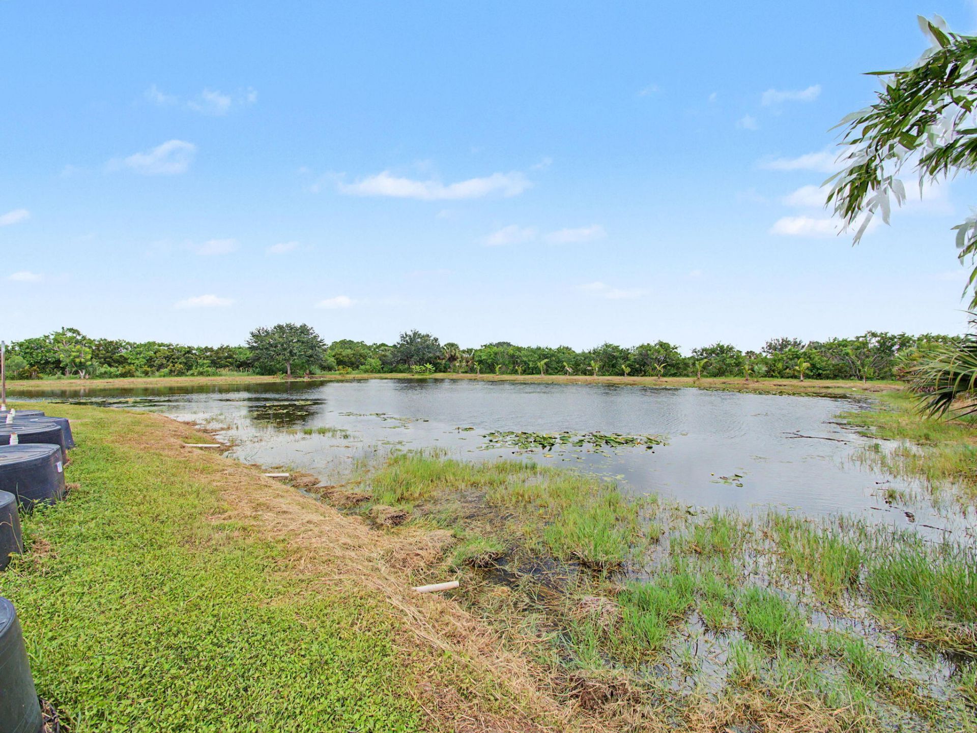 10650 Carlton Road, Port Saint Lucie, FL 34987 Photo