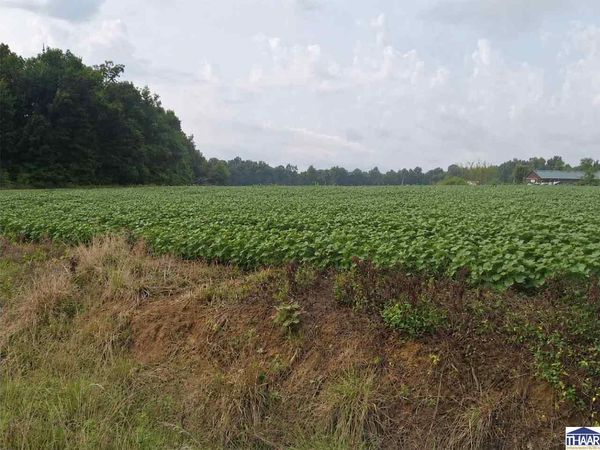 N Co Rd 900 E, Lewis, IN 47858