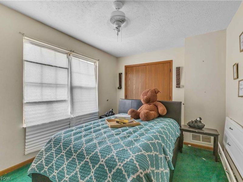 1396 E 124 Street, Cleveland, OH 44106 Photo 20