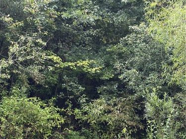 Jacobs Road, Youngstown, OH 44505