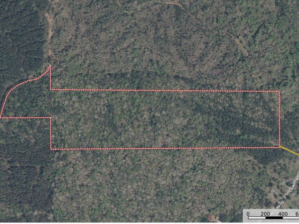 Co Rd 172, Guntown, MS 38849