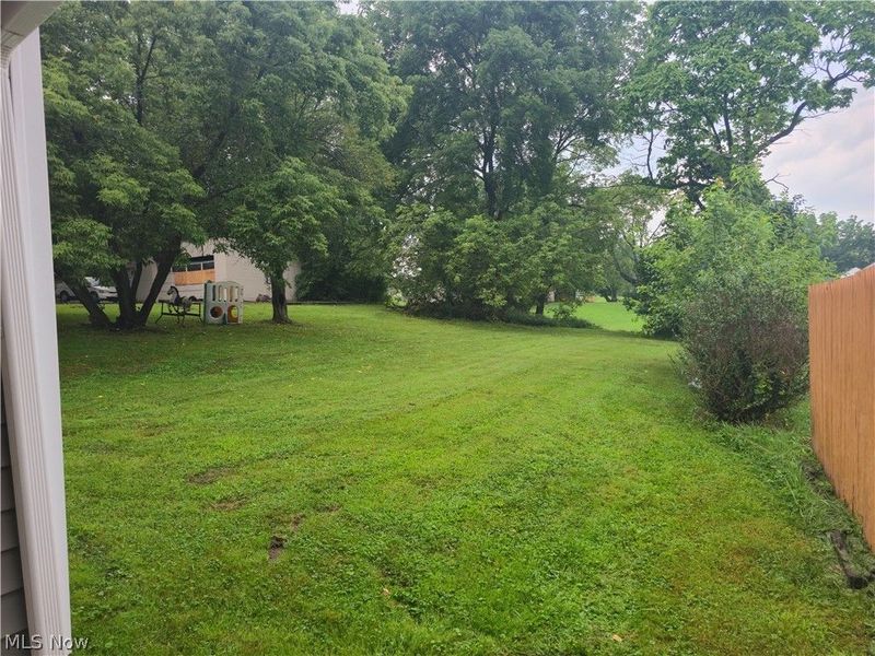 356 Randolph Street, Youngstown, OH 44509 Photo 3