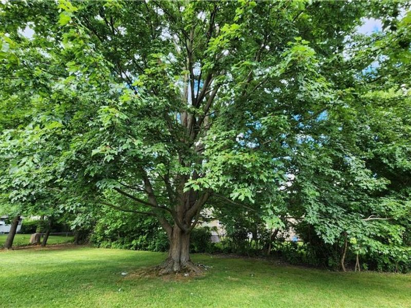 2491 Samira Road, Stow, OH 44224 Photo 16
