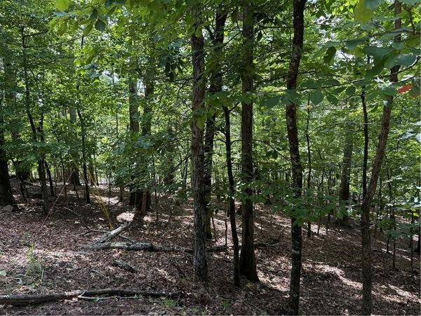 117 Tulip Tree Court , Waleska, GA 30183