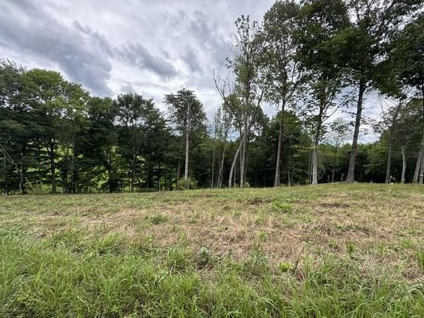 2.48 AC Willow Grove Hwy, Allons, TN 38541