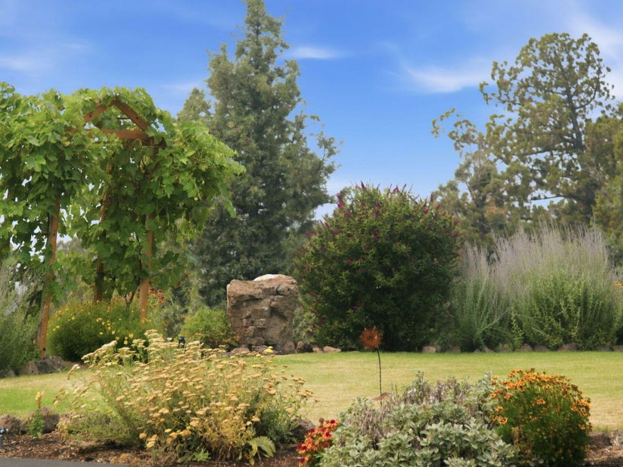 Property Image 54