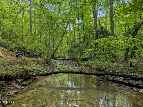 Sheep Ranch Rd, Robbins, TN 37852