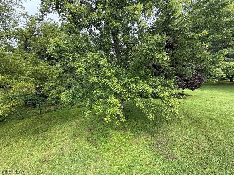 109 Ideal Road, Lore City, OH 43755 Photo 10