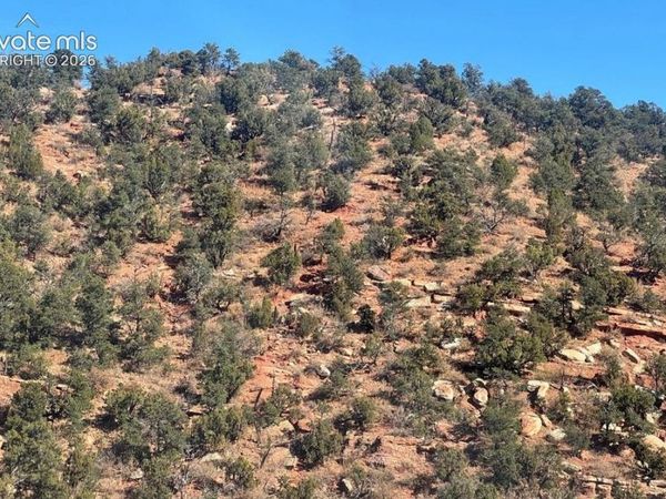 Holtz Street, Manitou Springs, CO 80829