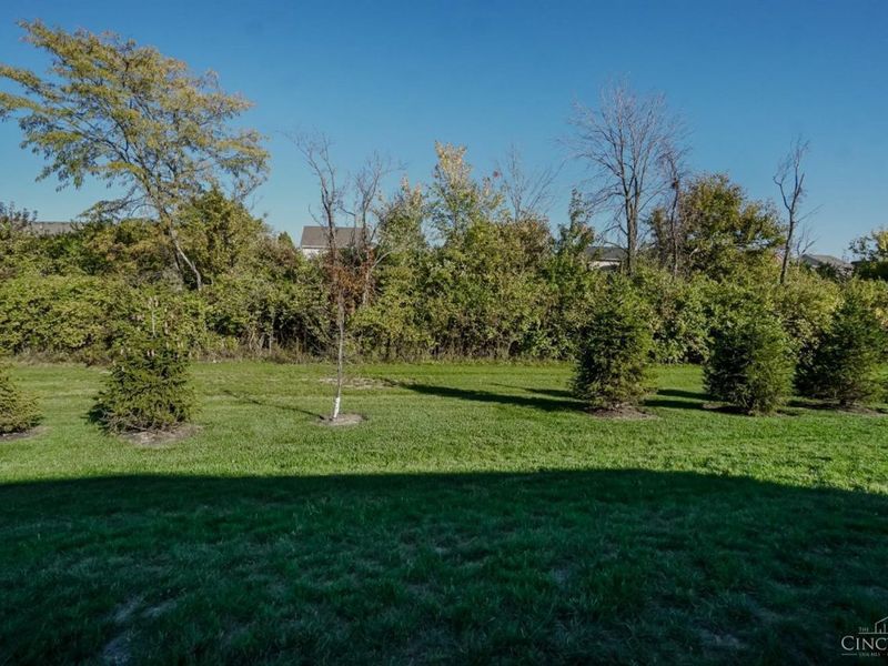 8170 Button Bush Place, West Chester, OH 45069 Photo 26
