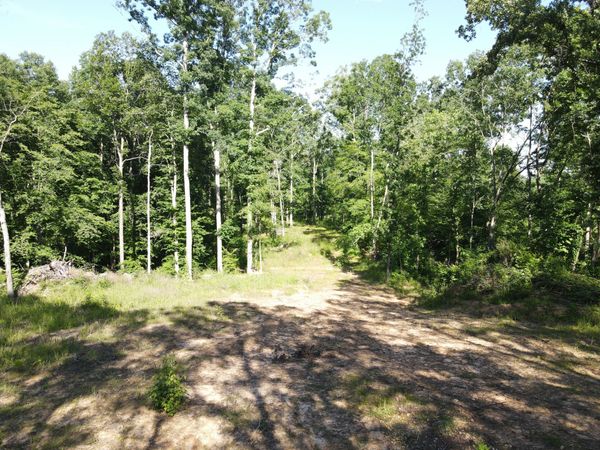 3 Copper Spring Road , Unit 3, Springville, TN 38256