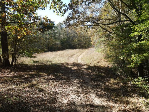 2 Copper Spring Road , Unit 2, Springville, TN 38256