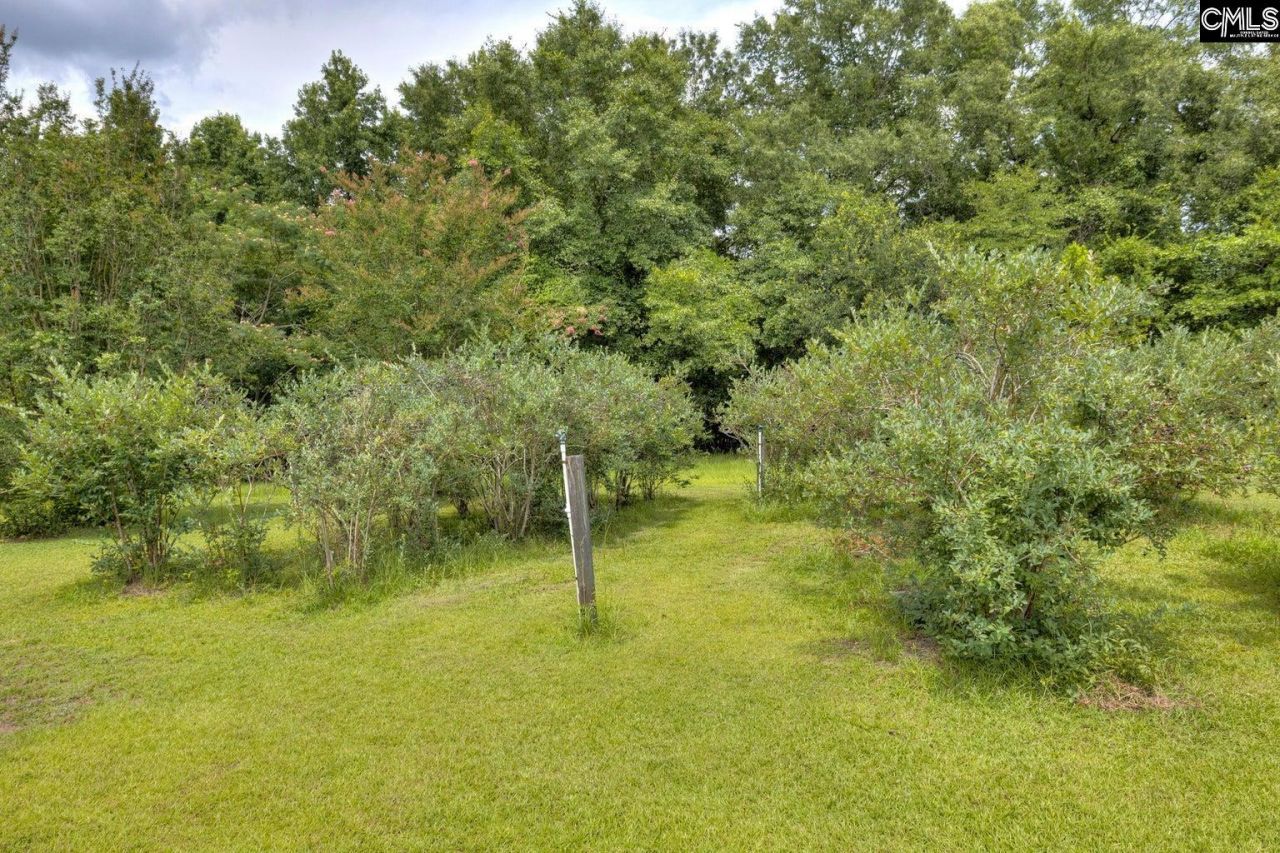 8095 Broom Factory Road  Photo 6