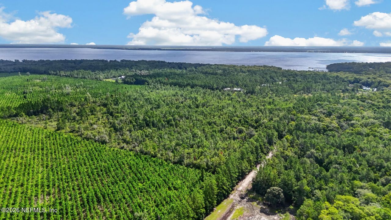 120 Champion Road, Palatka, FL 32043 Photo