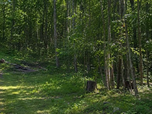 TBD Birchcurve Road , Randall, MN 56475