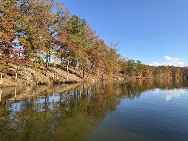 58 Cole Creek Cove, Killen, AL 35645