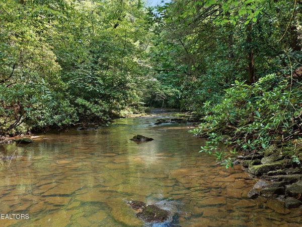 Twin Bridge Rd, Deer Lodge, TN 37726