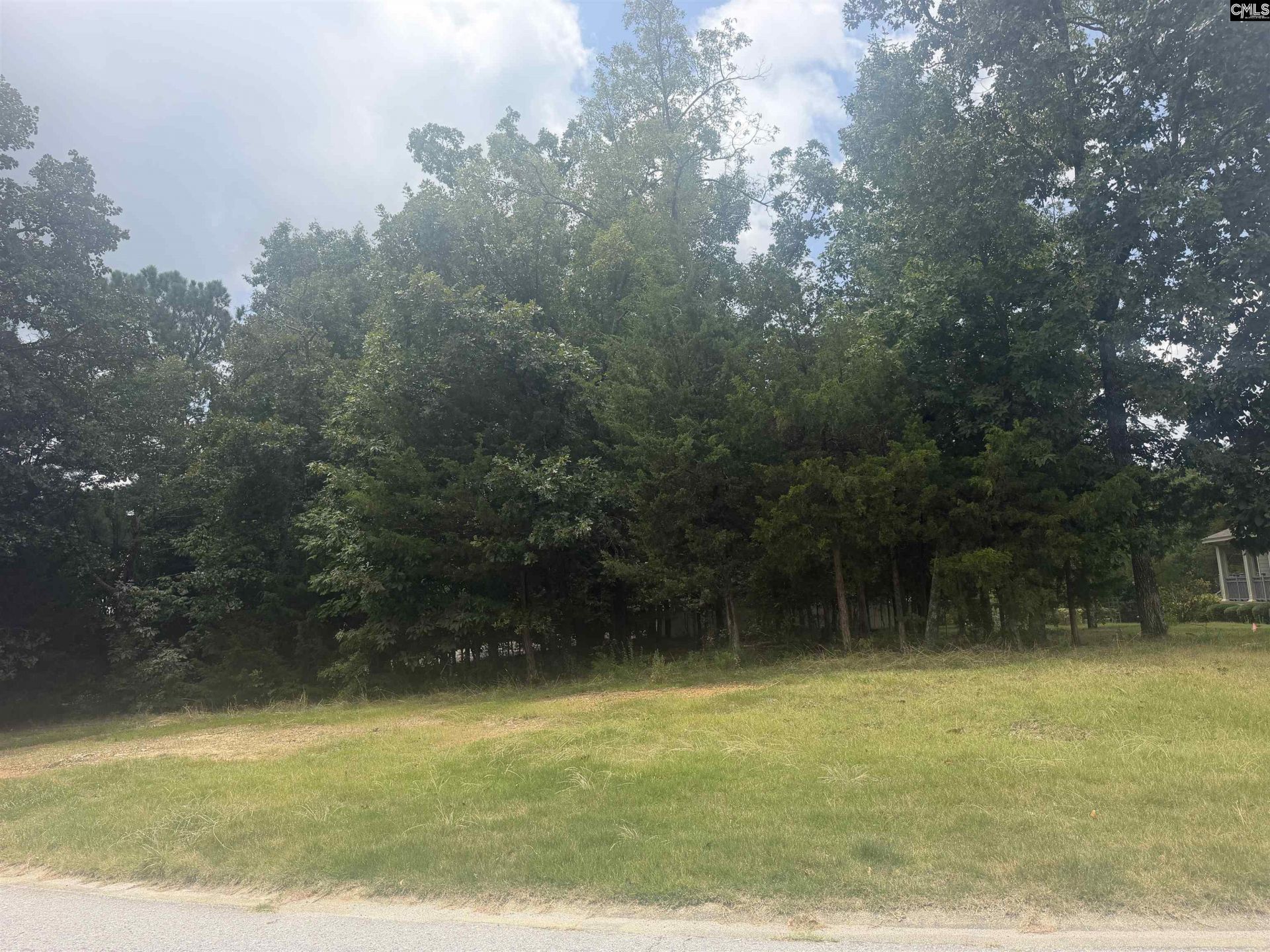 304 Tattlers Trail  Photo 7