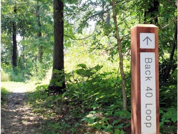 TBD Clivenden Lane , Bella Vista, AR 72714