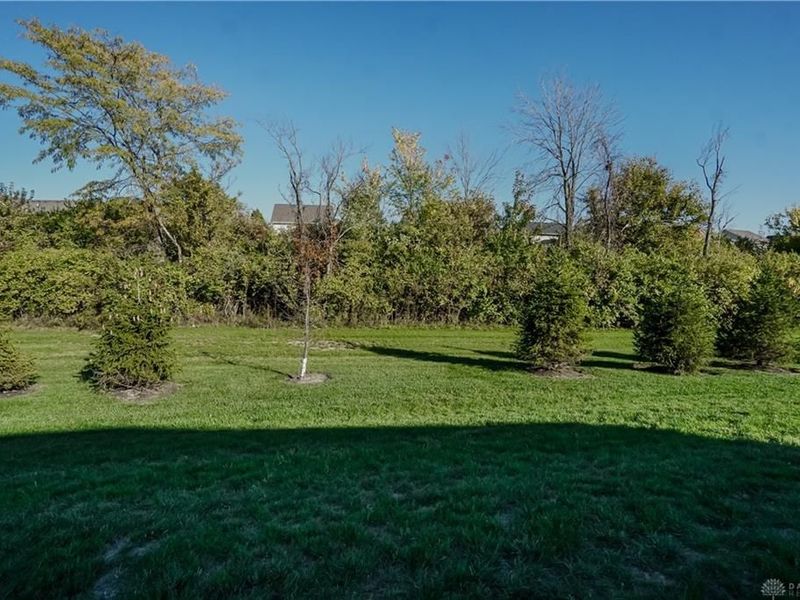 8170 Button Bush Place, West Chester, OH 45069 Photo 26