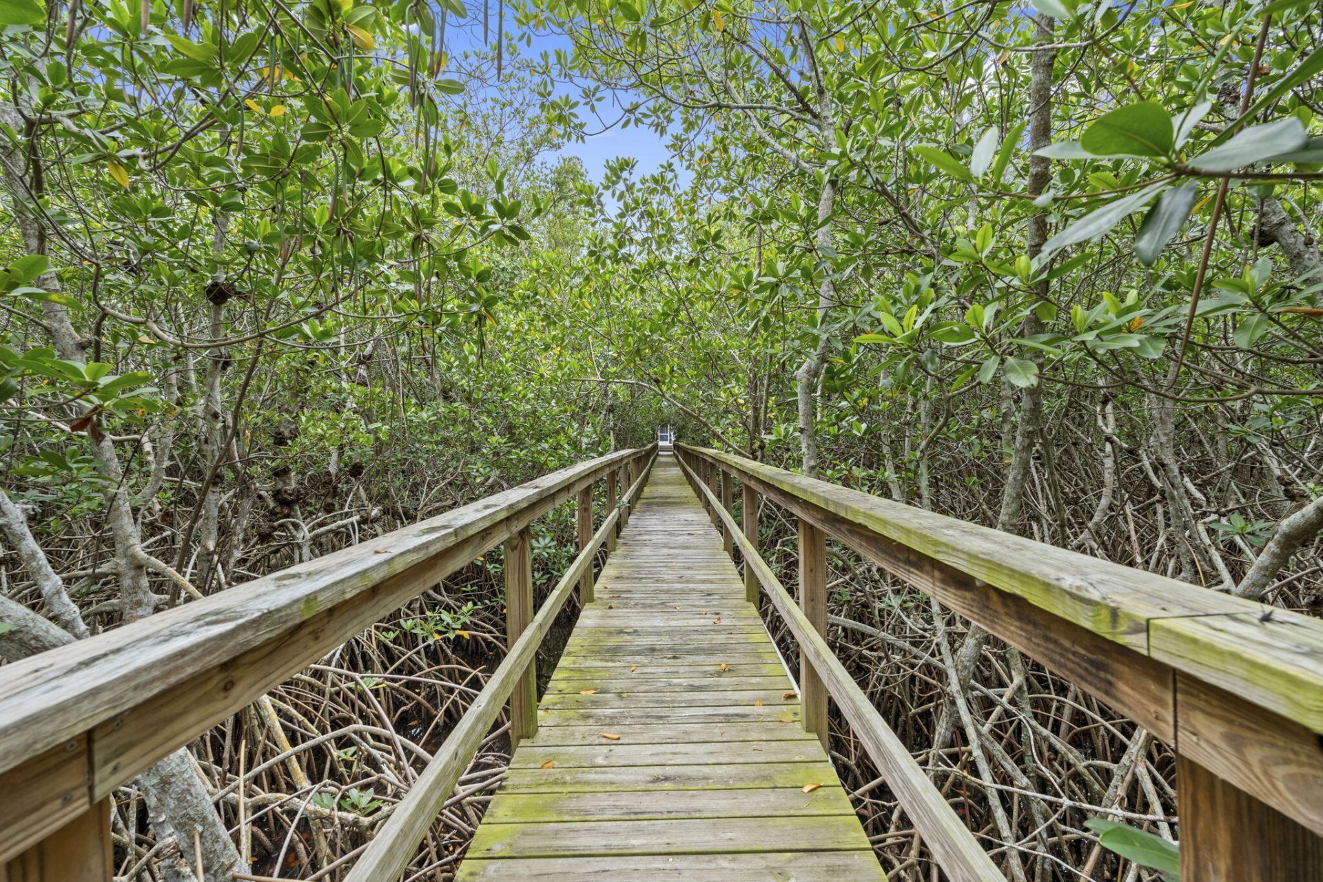 232 SW Indian Groves Drive, Stuart, FL 34994 Photo