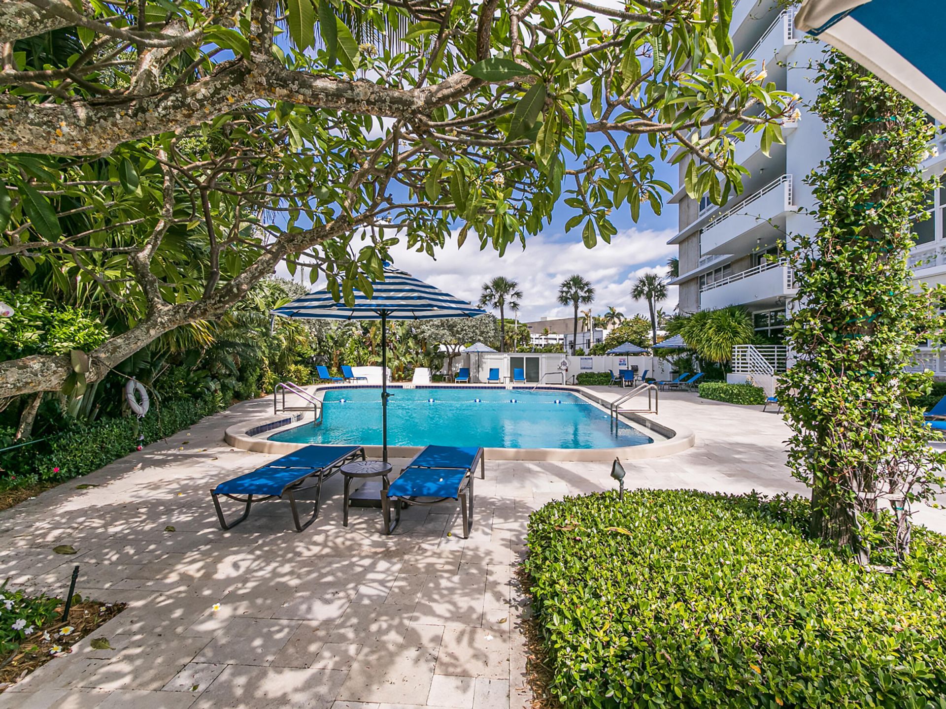 888 Intracoastal Drive, Unit 3D, Fort Lauderdale, FL 33304 Photo