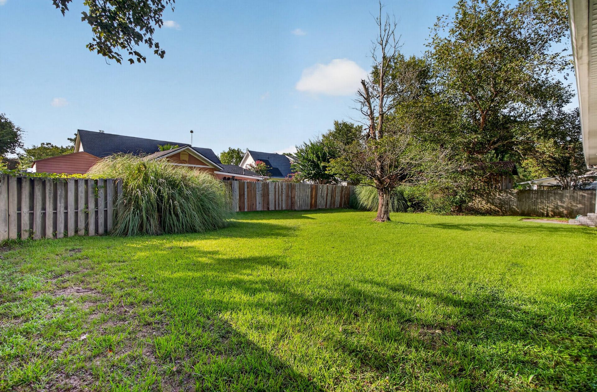1429 Foxtail Pine Road Photo 15