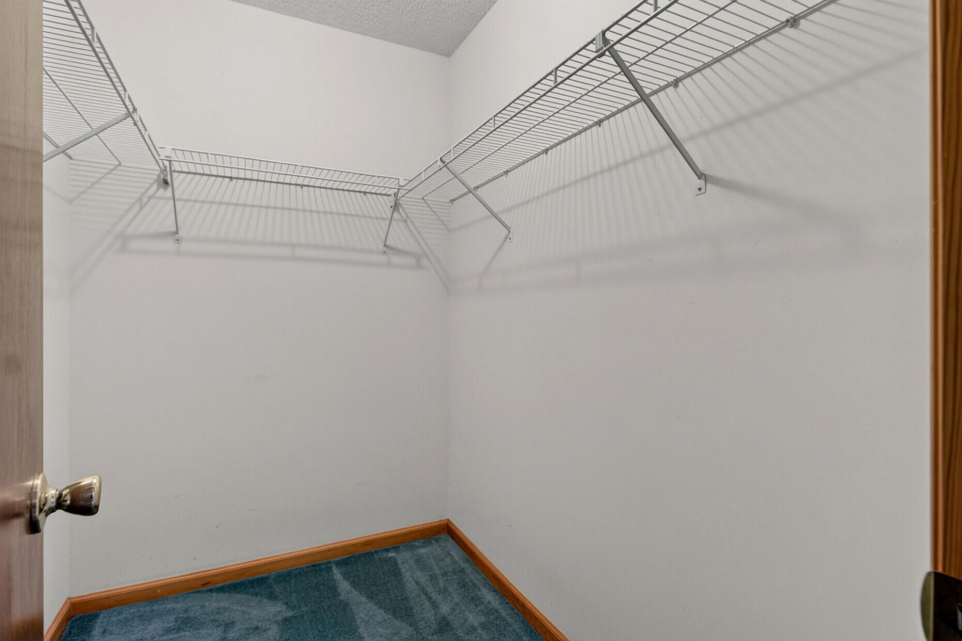 1429 Foxtail Pine Road Photo 19