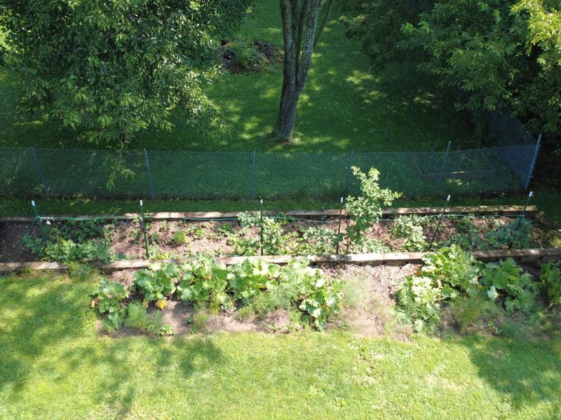 420 Superior Street, Bellefontaine, OH 43311 Photo 77