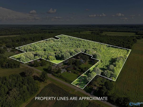 31 ACRES Cottontown Lane, Leighton, AL 35646