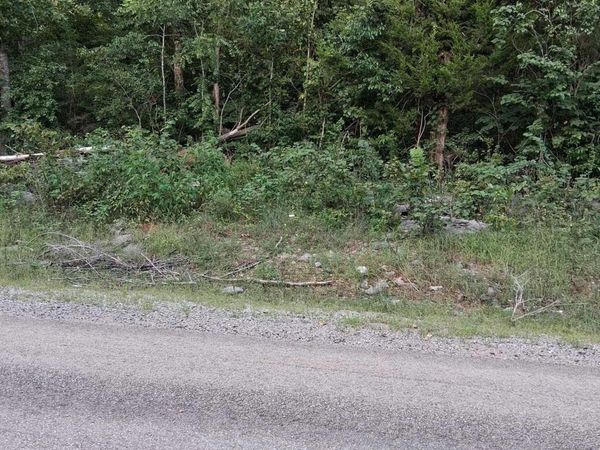 2.0 acres County Road 84, Danville, AL 35619