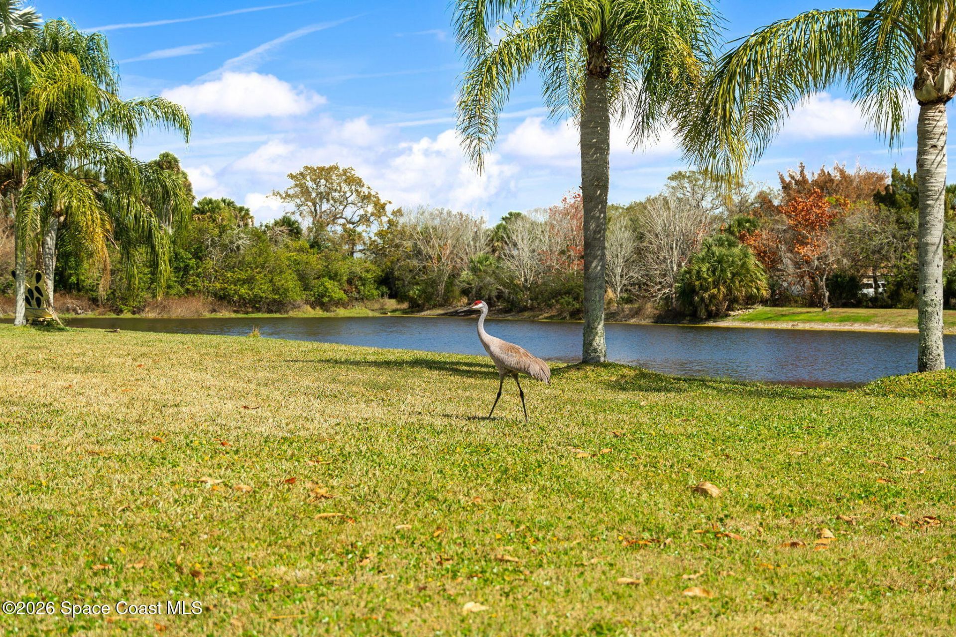 5137 Royal Paddock Way , Merritt Island, FL 32953 Photo