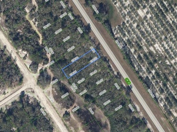 903 COUNTY ROAD 29 , Lake Placid, FL 33852